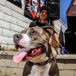 Meet your Posher, Neill